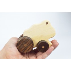 Frog Toy Car