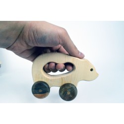 Bear Toy Car
